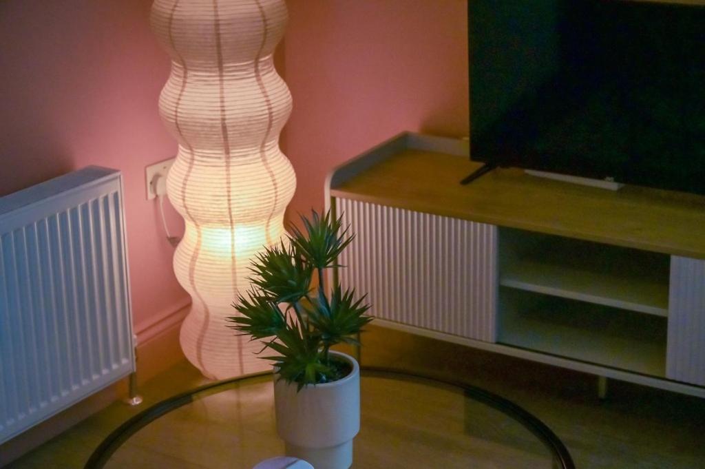 Central Belfast Apartments: Botanic Экстерьер фото